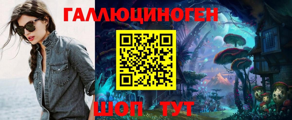 Галлюциногенные грибы Psilocybe Солнечногорск